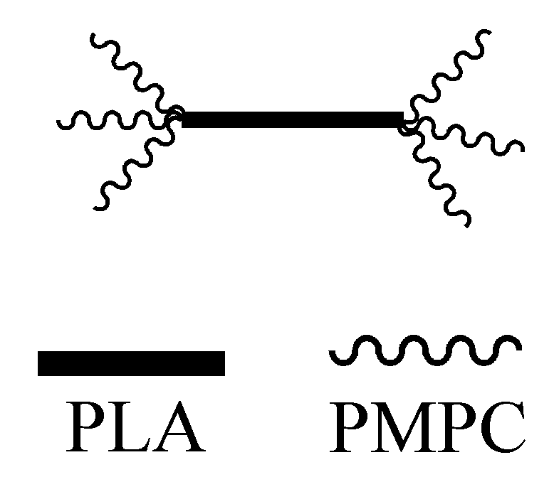 Two-arm hyperbranched star-shaped amphiphilic polylactic acid-poly 2-methacryloyloxyethyl phosphorylcholine block polymer and its preparation method
