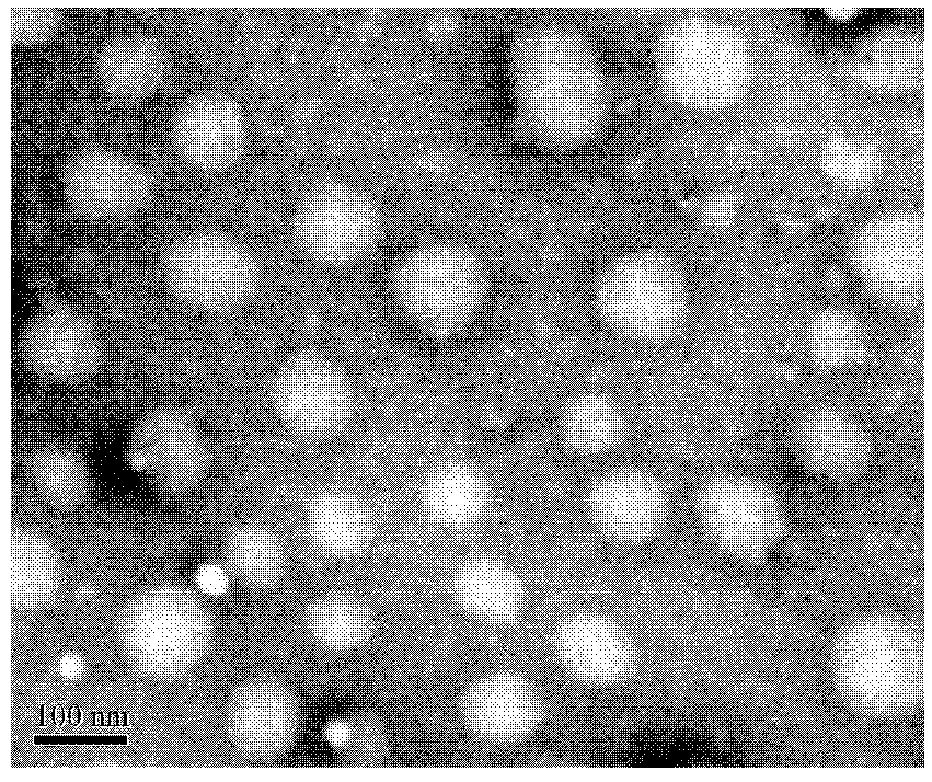 Two-arm hyperbranched star-shaped amphiphilic polylactic acid-poly 2-methacryloyloxyethyl phosphorylcholine block polymer and its preparation method