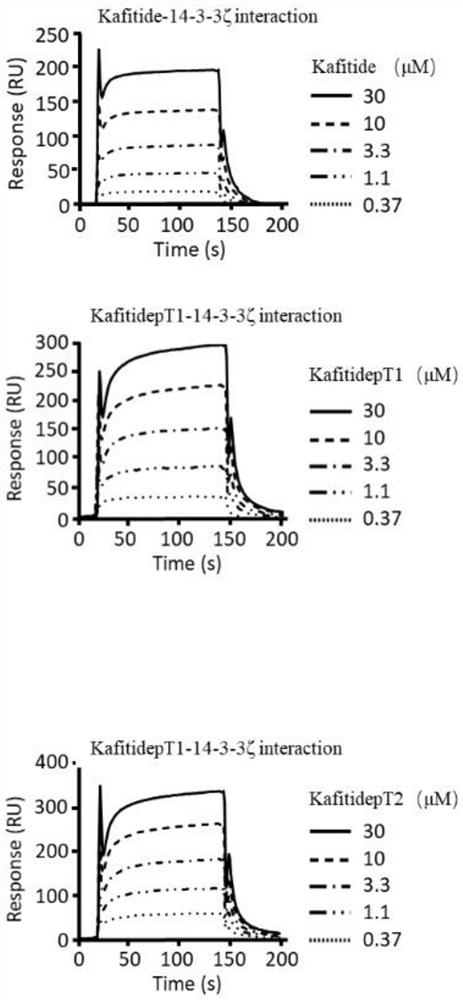 Application of octadecyl-modified polypeptide in preparing drugs for inhibiting platelet aggregation