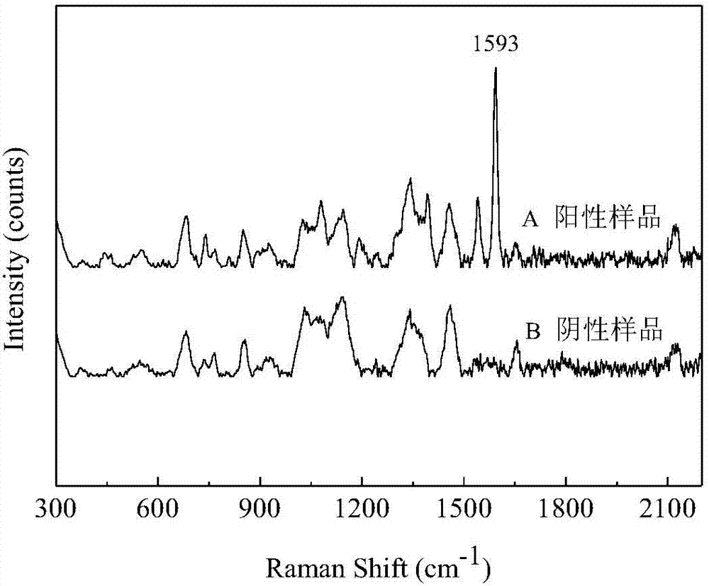 Diquat Raman enhanced spectroscopy for fruits and vegetables and reagent formula thereof