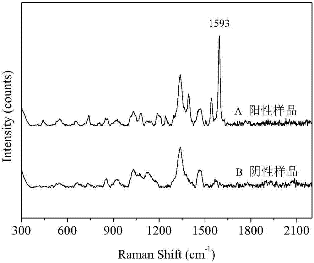 Diquat Raman enhanced spectroscopy for fruits and vegetables and reagent formula thereof