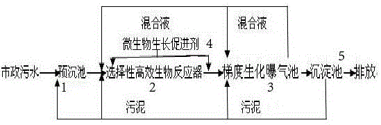 BRGA municipal sewage treatment method