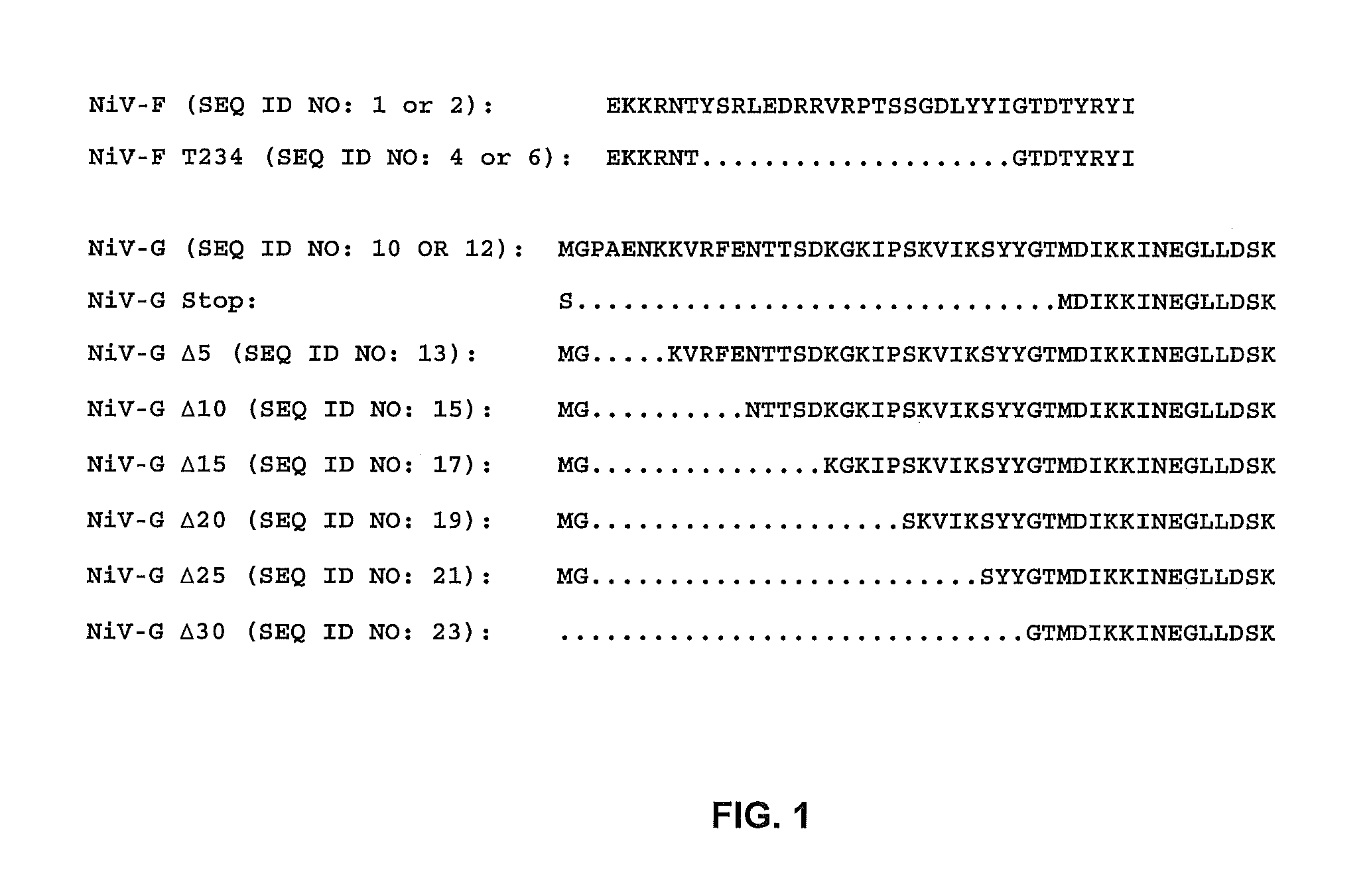 Nipah virus envelope pseudotyped lentiviruses and methods of their use