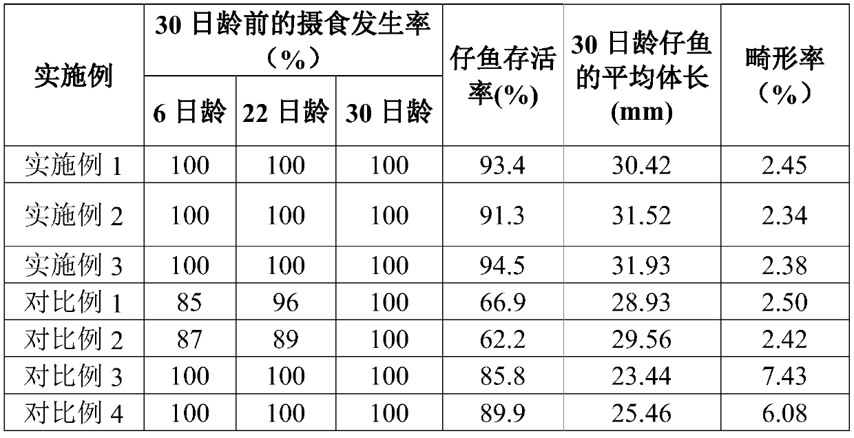 Indoor cement pond artificial breeding method for generic hybrid progenies of chromileptes altivelis and epinephelus lanceolatus