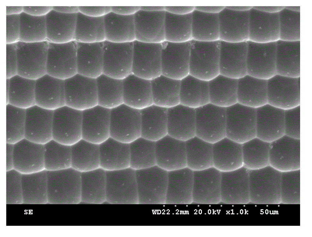 Method for preparing quasi-periodic microlens array by wet etching with femtosecond laser