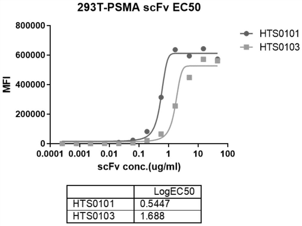 Antibody targeting PSMA protein, chimeric antigen receptor, drug and application