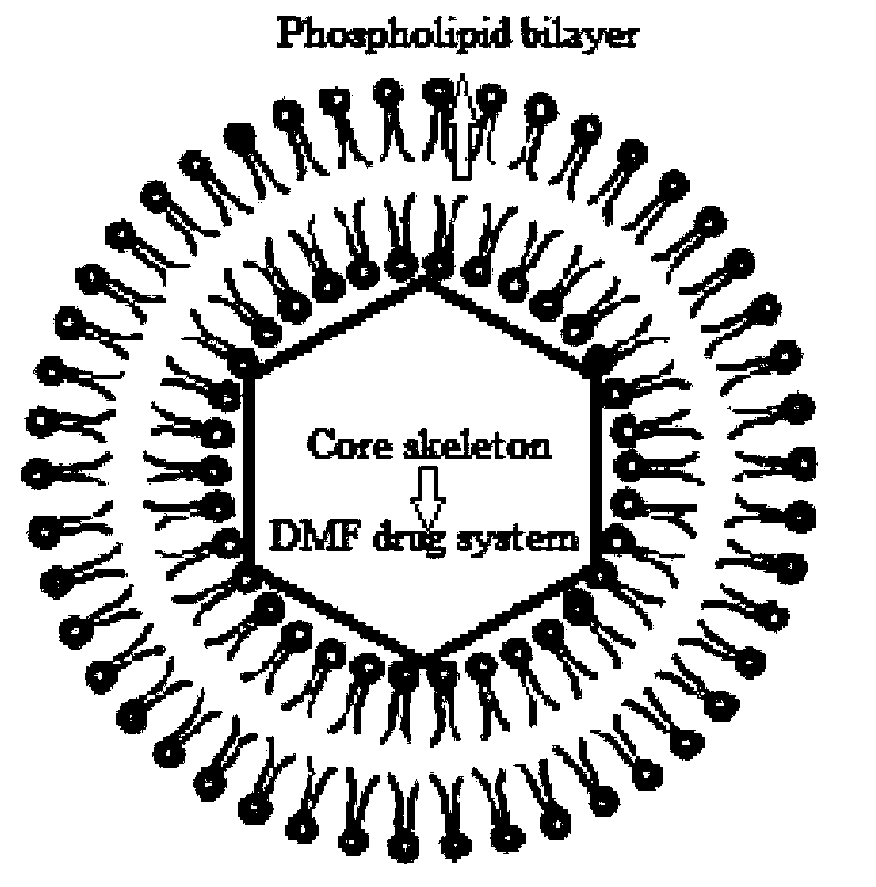 Dextran-MLDH-fluorouracil super-molecular skeleton magnetic liposome