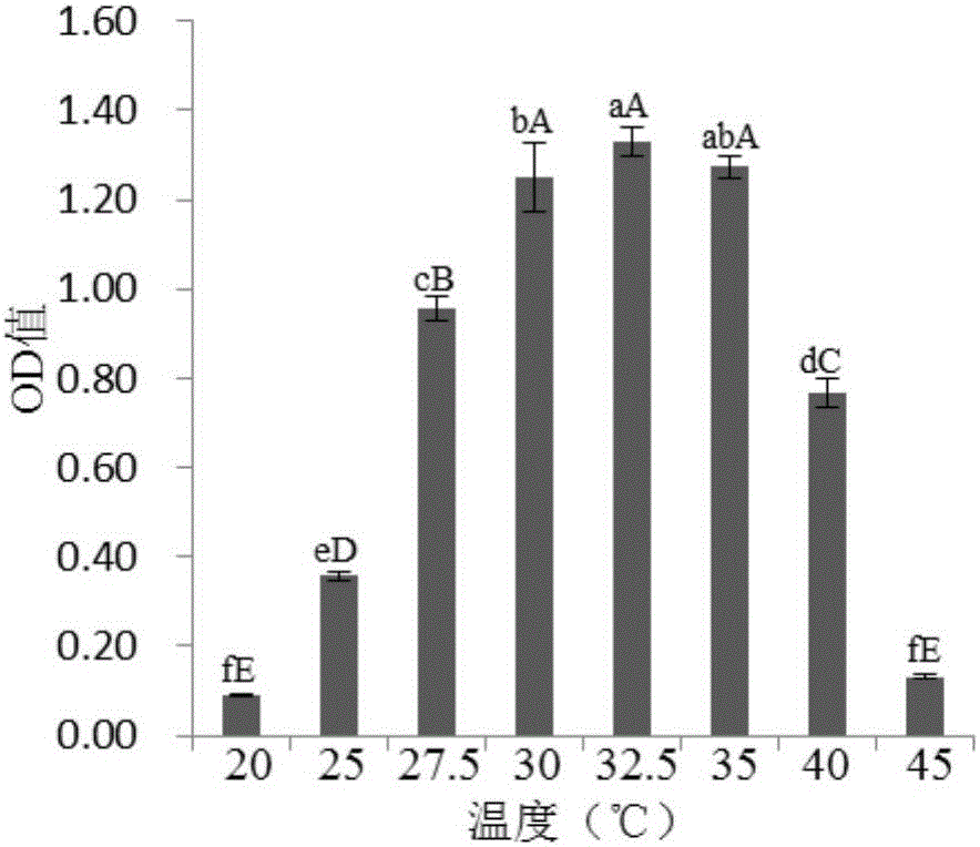 Bacillus subtilis YBM-4 and application thereof in preventing and controlling tobacco black shank and promoting growth