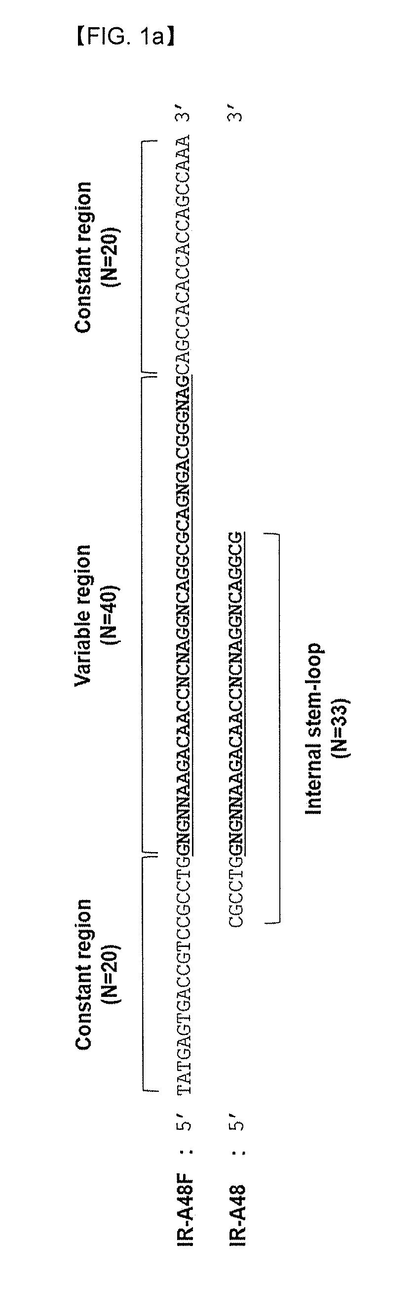 Aptamer against insulin receptor and pharmaceutical composition containing the same
