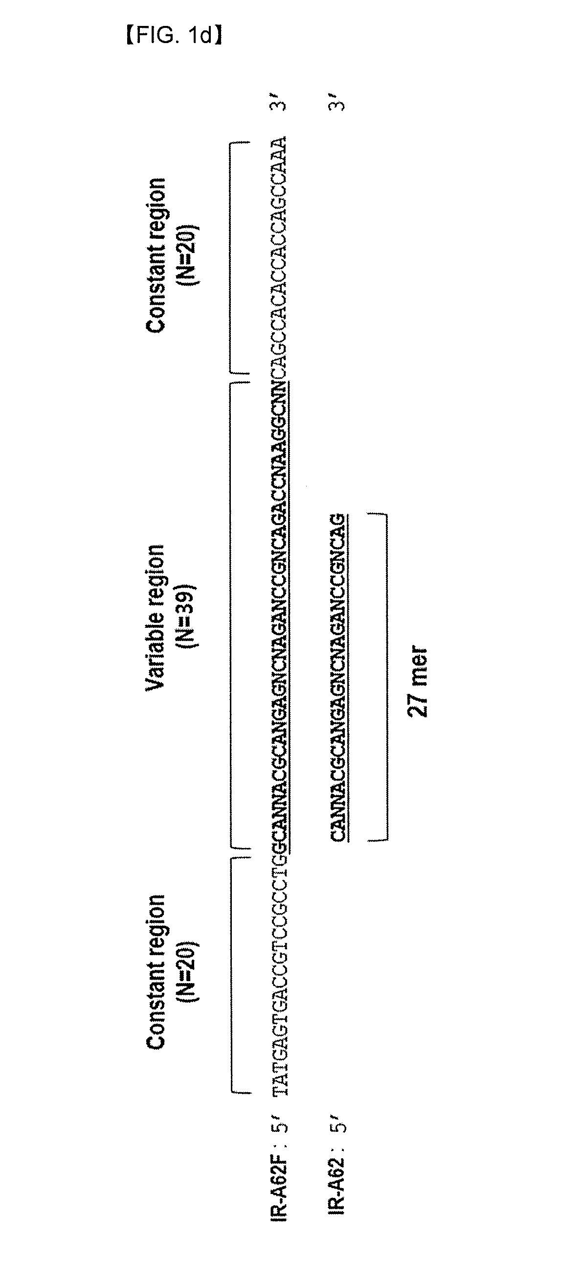 Aptamer against insulin receptor and pharmaceutical composition containing the same