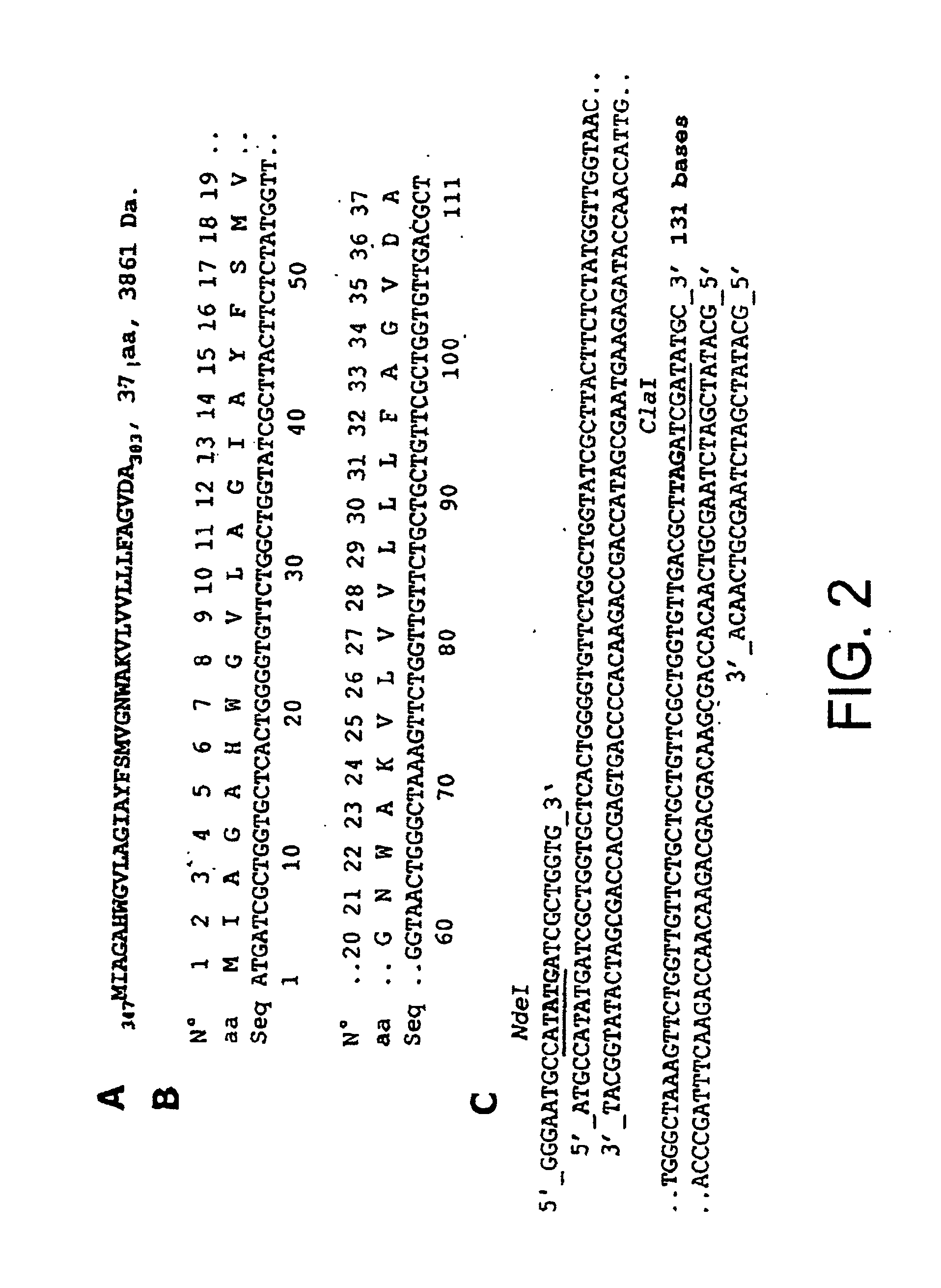 Systems for expressing toxic proteins, vectors and method of method of producing toxic proteins