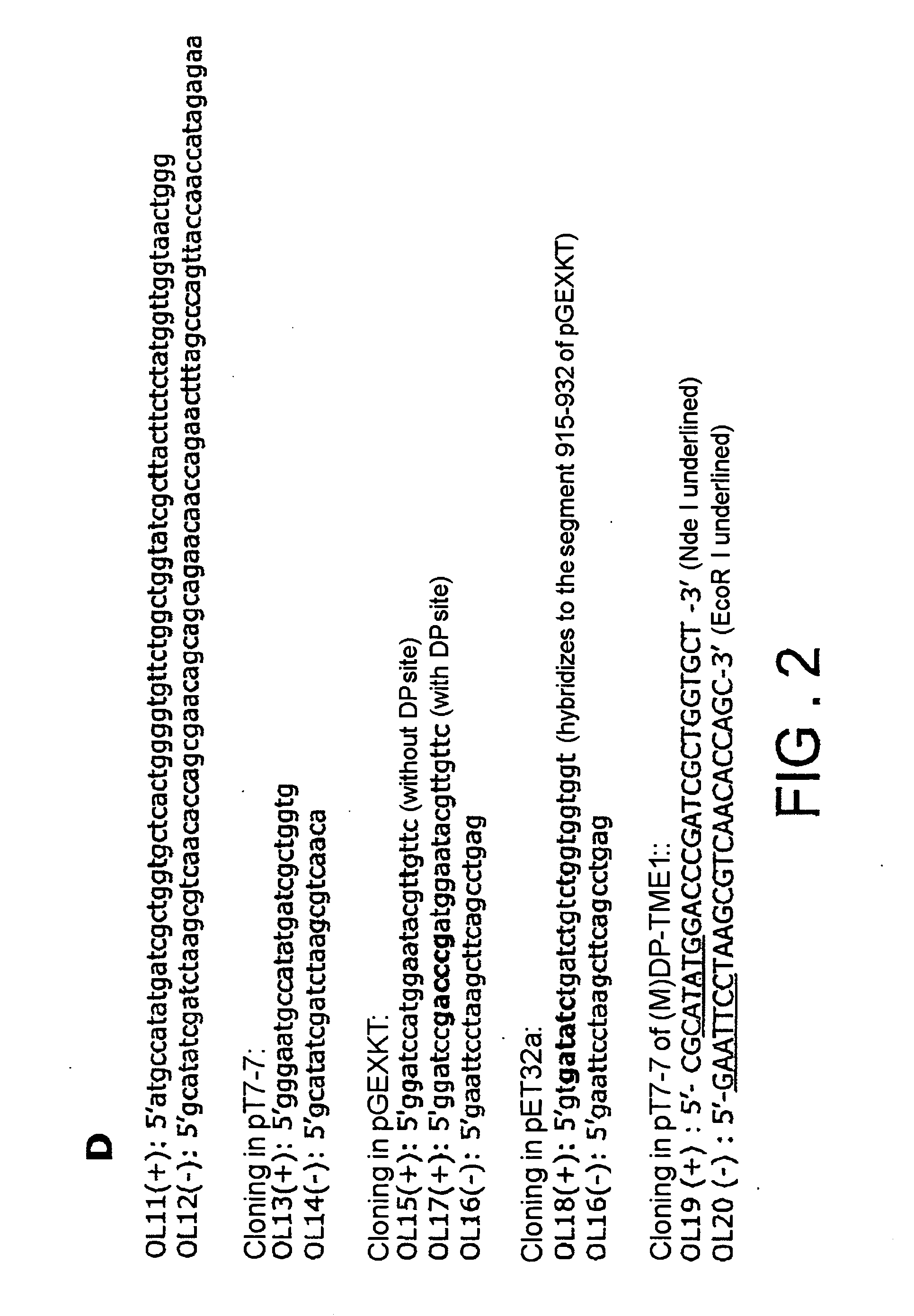 Systems for expressing toxic proteins, vectors and method of method of producing toxic proteins