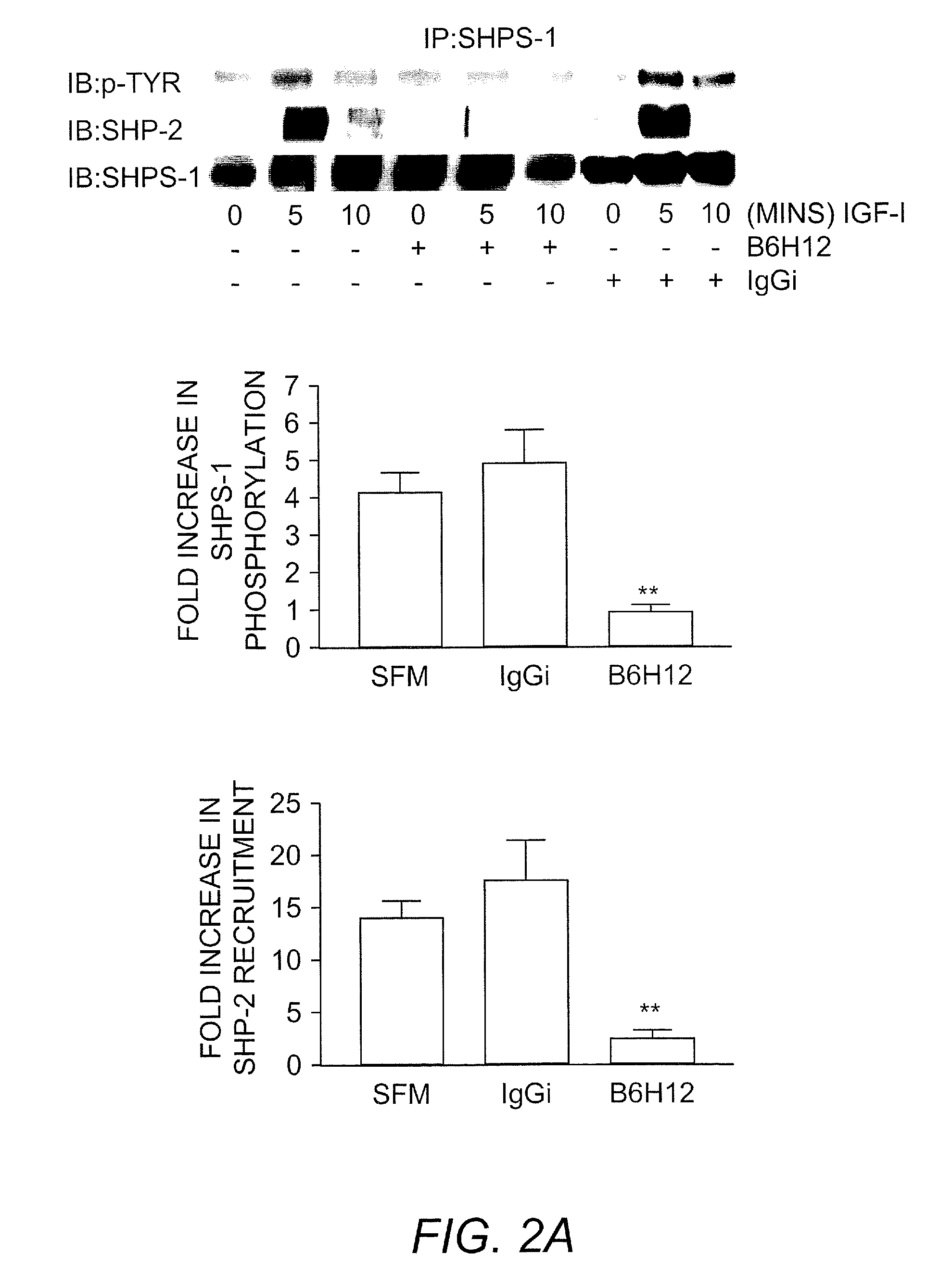 Method for inhibiting cellular activation by insulin-like growth factor-1