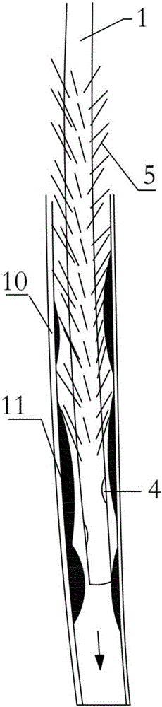 Sputum suction catheter