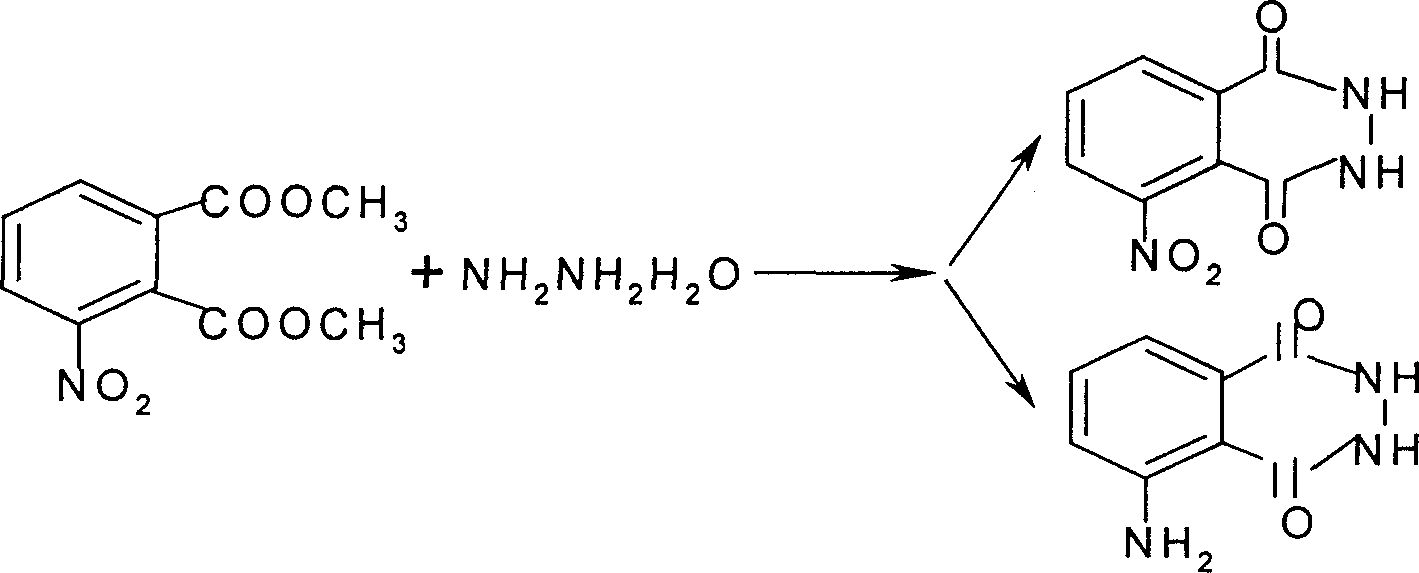 Method for synthesizing 3-nitro or 3-amino phthalyl hydrazine