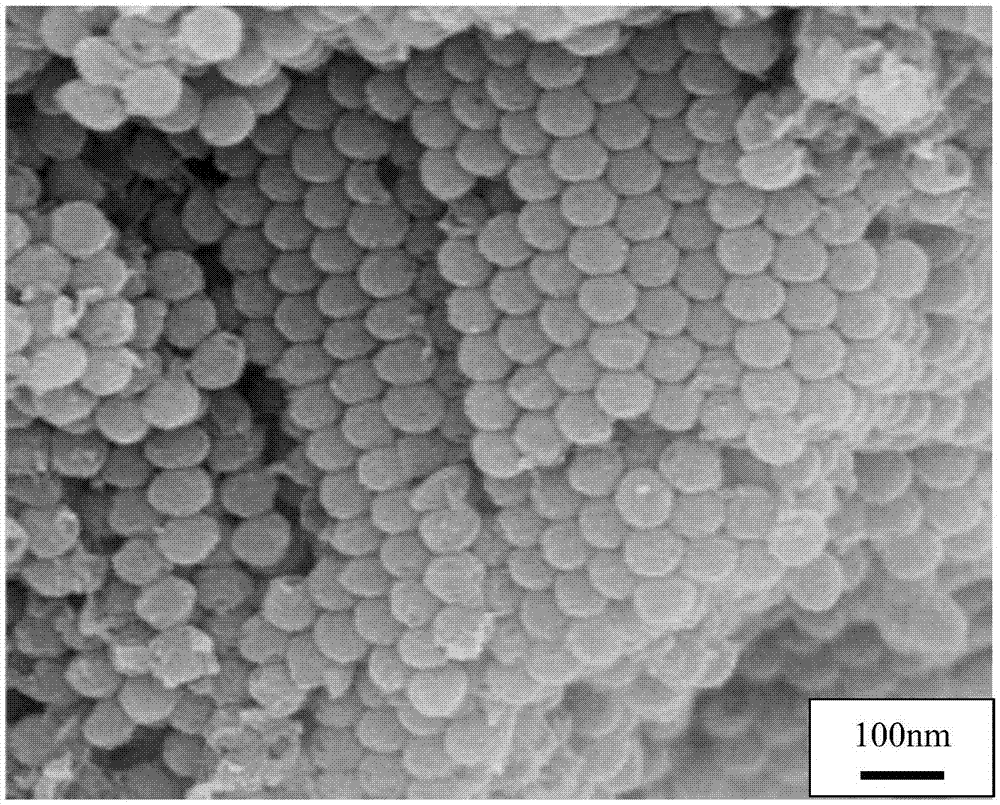 Fe and N co-doped mesoporous TiO2 microsphere array visible light photocatalyst and preparation method