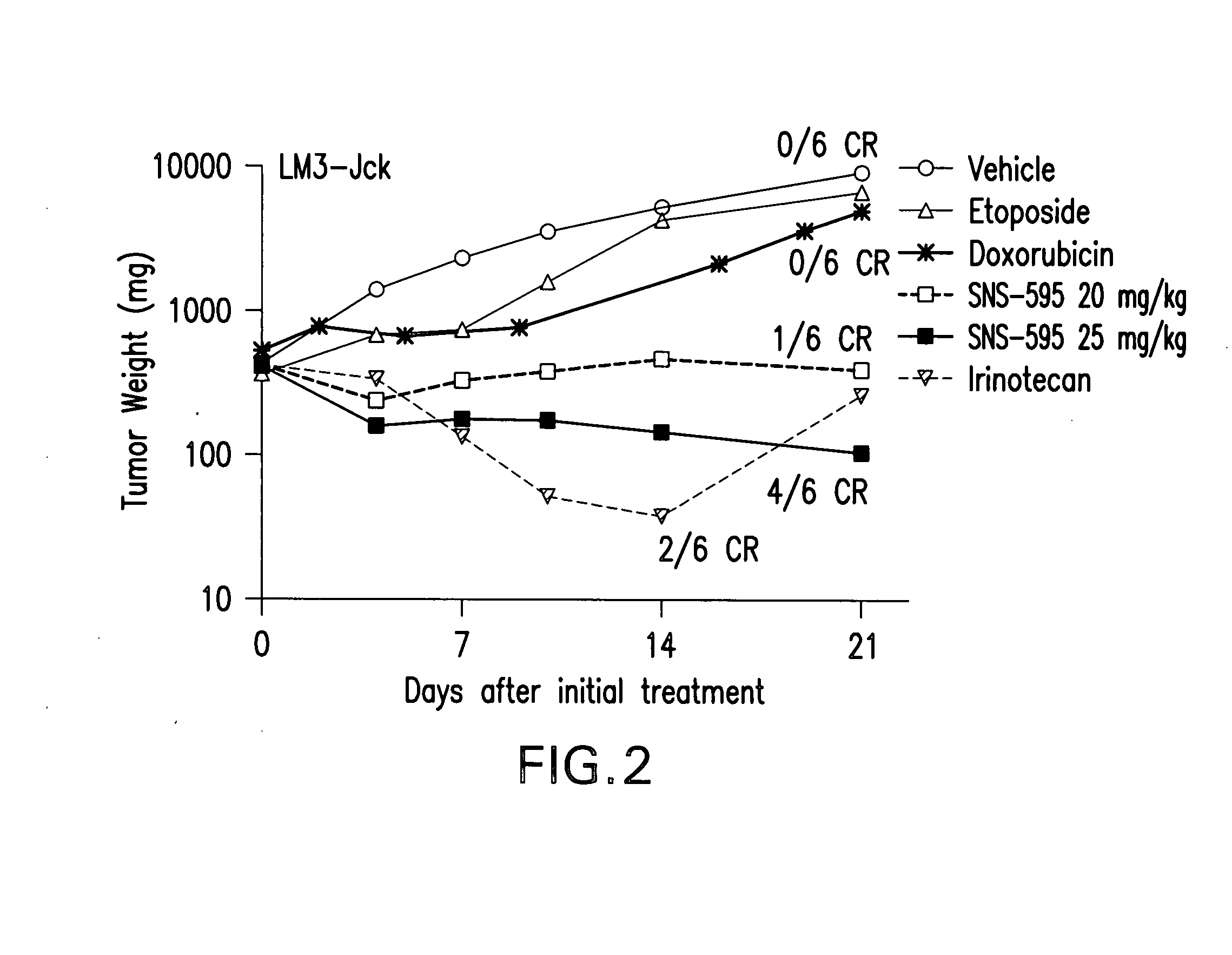 Methods of using (+)-1,4-dihydro-7-[(3S,4S)-3-methoxy-4-(methylamino)-1-pyrrolidinyl]-4-oxo-1-(2-thiazolyl)-1,8-naphthyridine-3-carboxylic acid for treatment of certain hematologic disorders