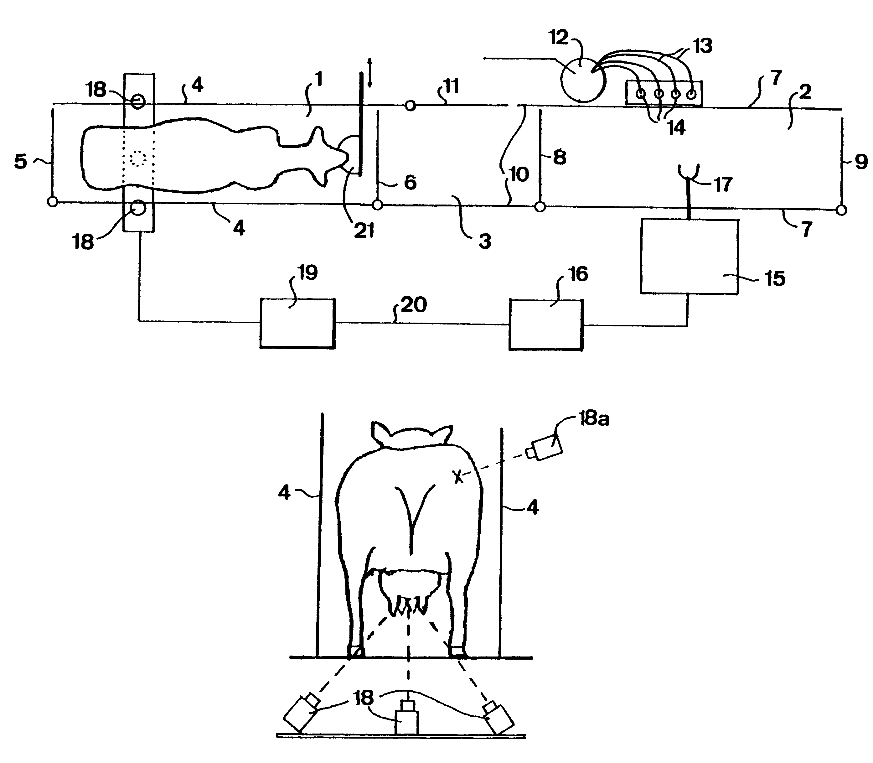 Arrangement and a method of performing an animal-related action