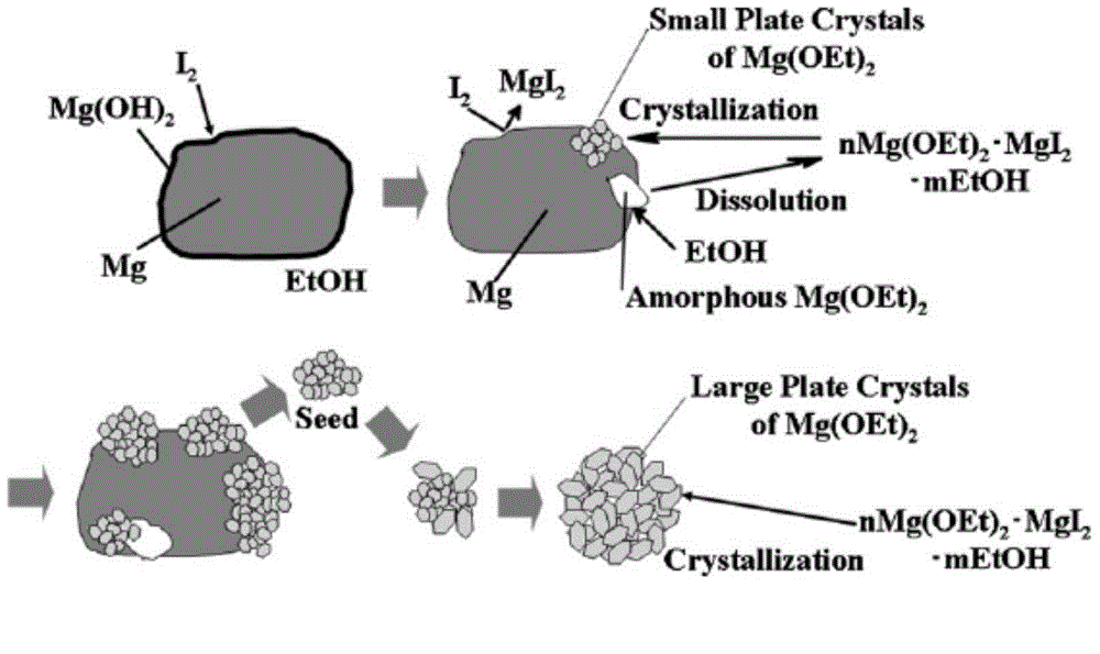 Preparation method and applications of alkoxyl magnesium carrier