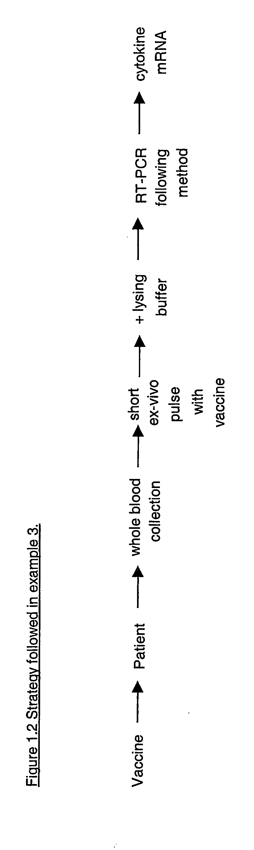 Method to determine in vivo nucleic acid levels