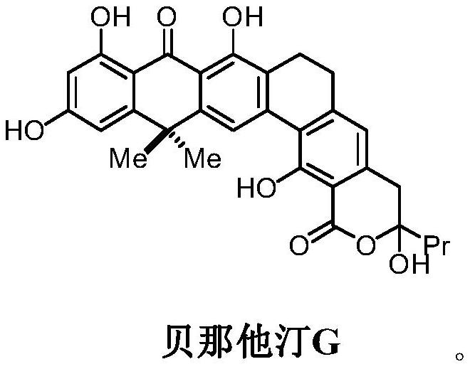 A kind of method for synthesizing benastatin G