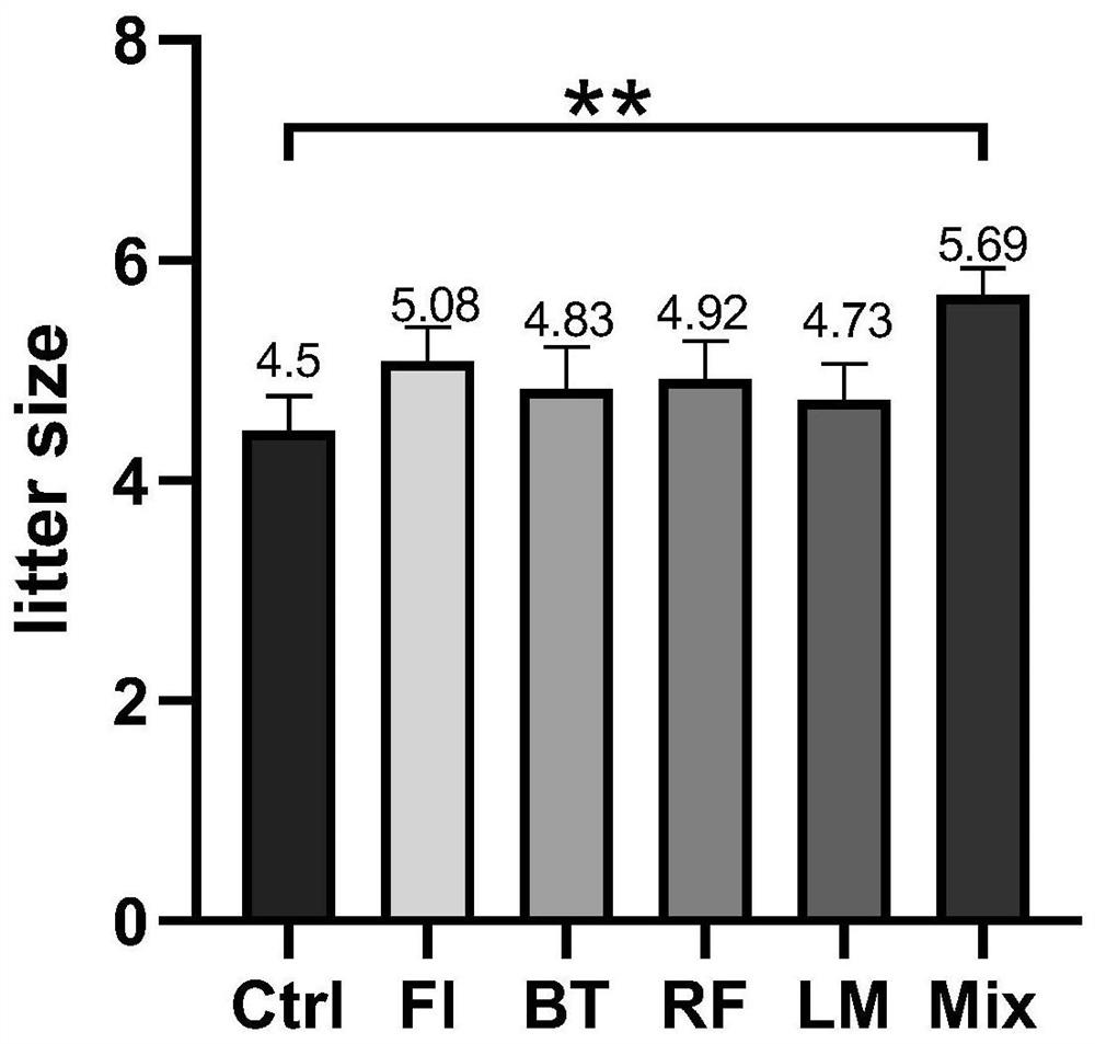 Microecological preparation for increasing number of mature follicles and litter size of mammals as well as preparation method and application of microecological preparation