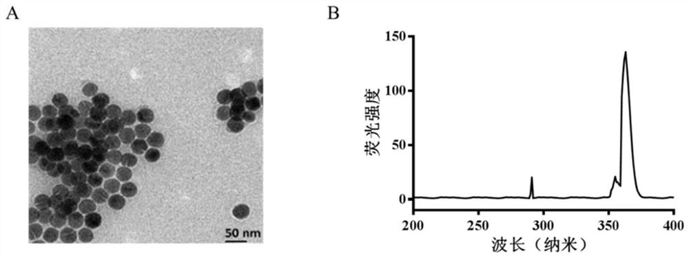 Aptamer and upconversion nanoparticle modified copolymer as well as synthesis and application thereof