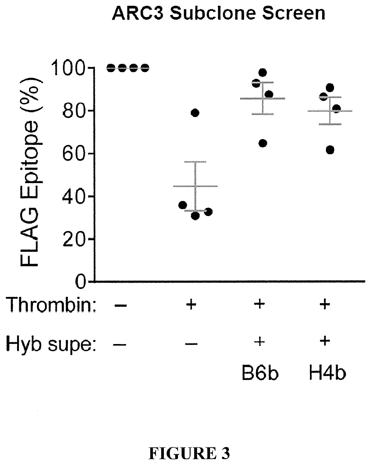 Binding proteins to the human thrombin receptor, par4