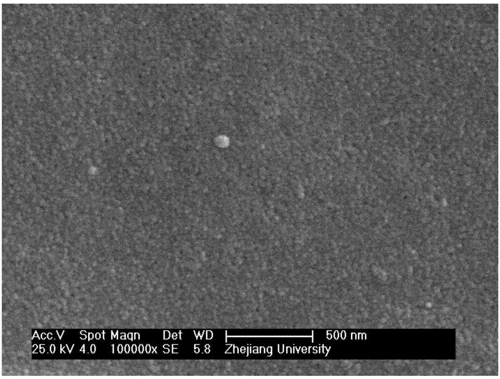 Inorganic-organic hybrid film based on Cu2O nano wire, and preparation method and application thereof