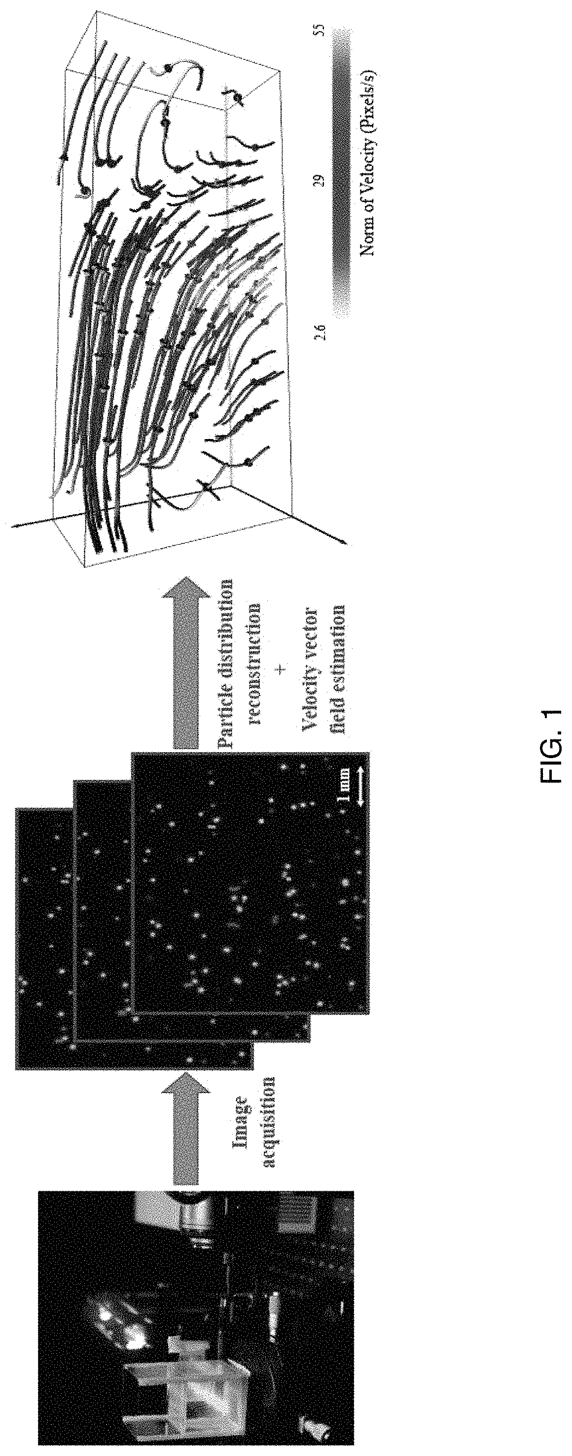 Rainbow particle imaging velocimetry for dense 3D fluid velocity imaging