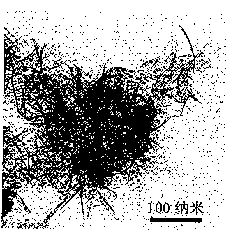 Method for preparing tin dioxide nanostructure material with floriform appearance by hydrothermal synthesis