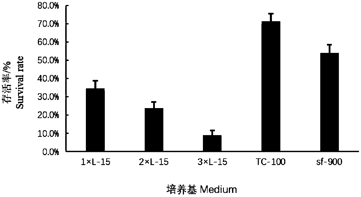 Chinese mitten crab blood cell culture medium and culturing method