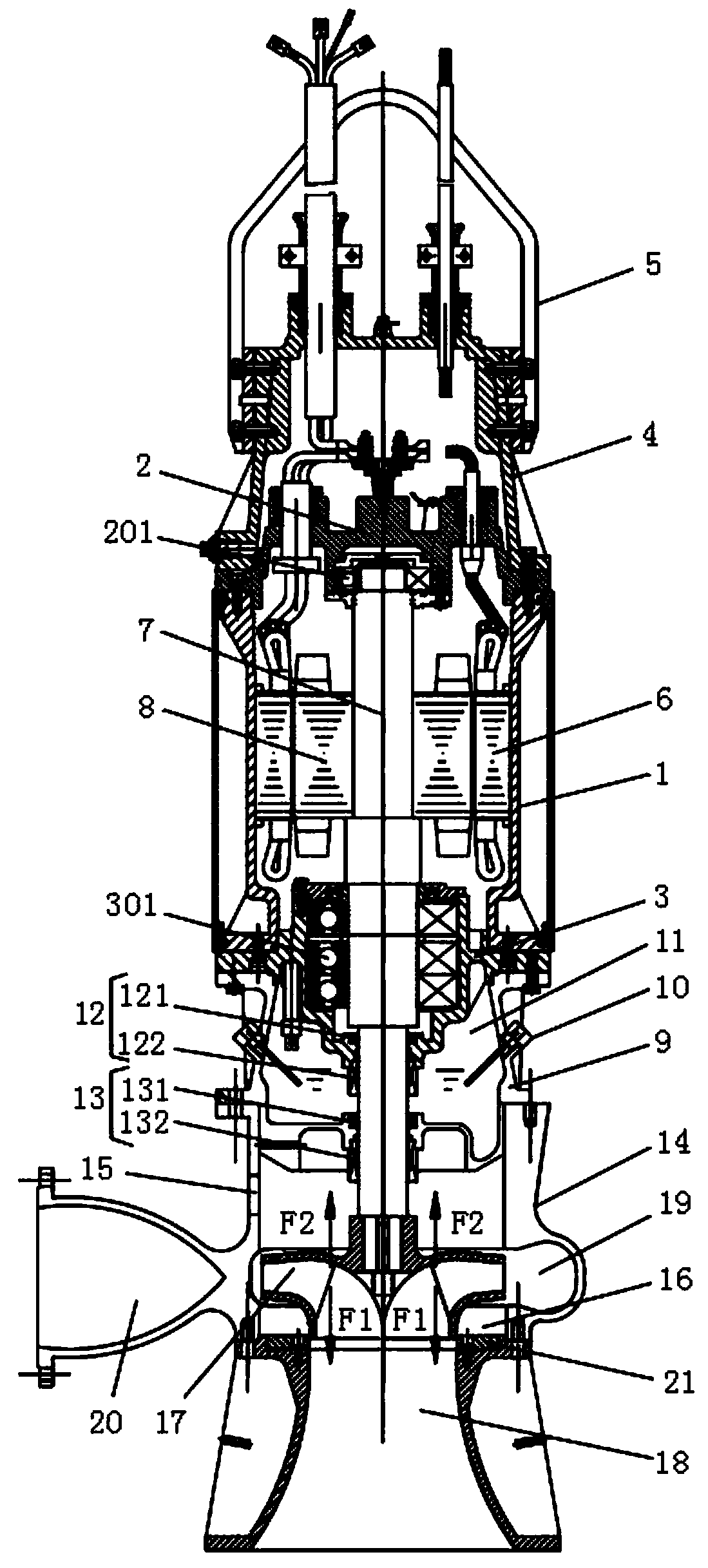 Double sucking type submersible pump