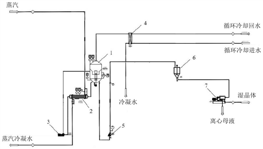 Crystallization system and crystallization process for producing nickel sulfate by continuous method
