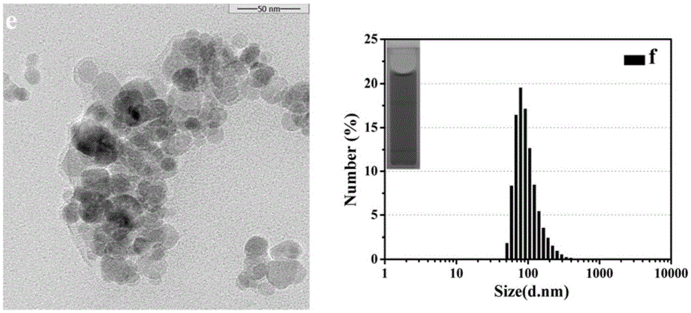 A kind of preparation method of targeted nuclear magnetic contrast agent
