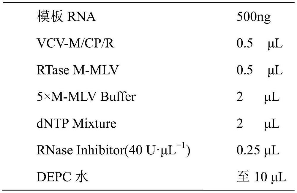 Broad bean latent virus M double-antibody sandwich enzyme-linked immunoassay kit and preparation and detection methods thereof