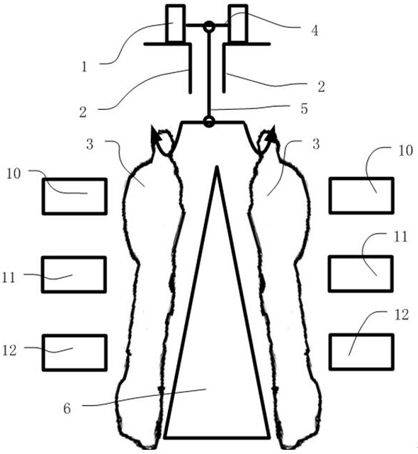 A kind of livestock carcass skin marking device, system and marking method