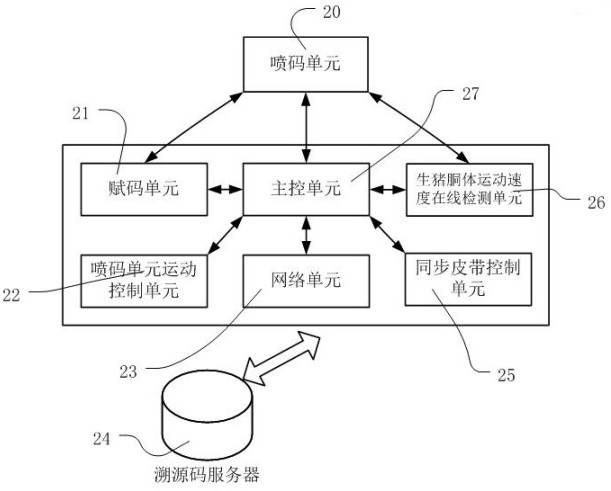 A kind of livestock carcass skin marking device, system and marking method