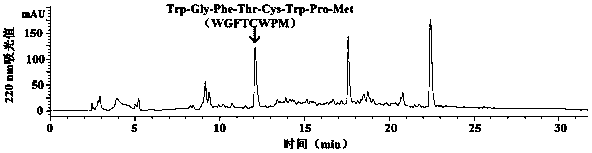 Shrimp waste zinc chelating peptide