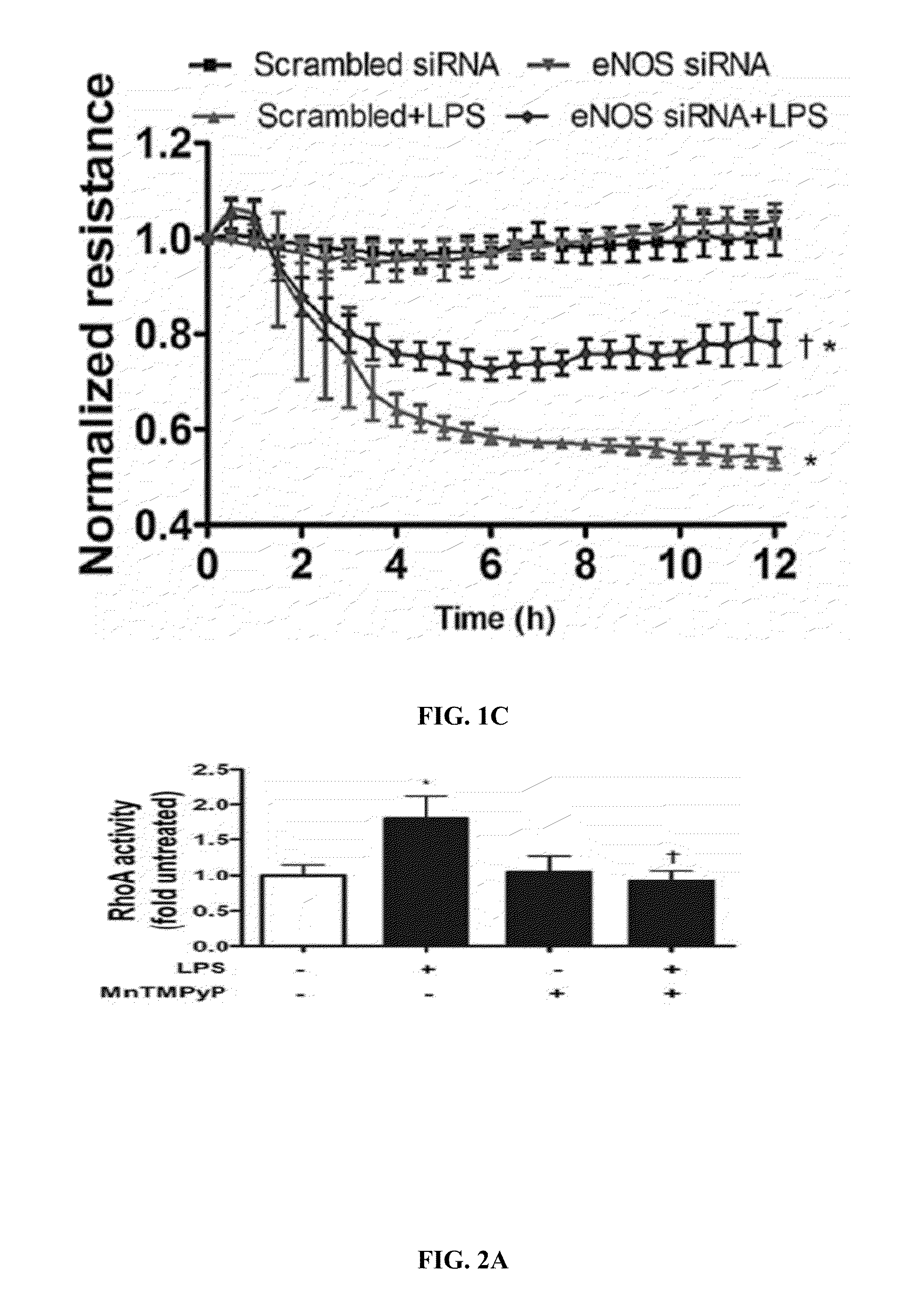 Nitration shielding peptides and methods of use thereof
