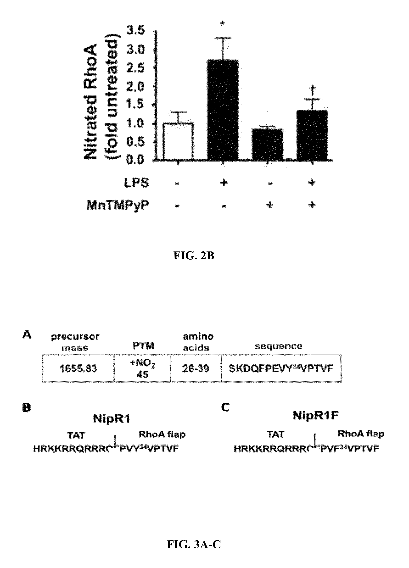 Nitration shielding peptides and methods of use thereof