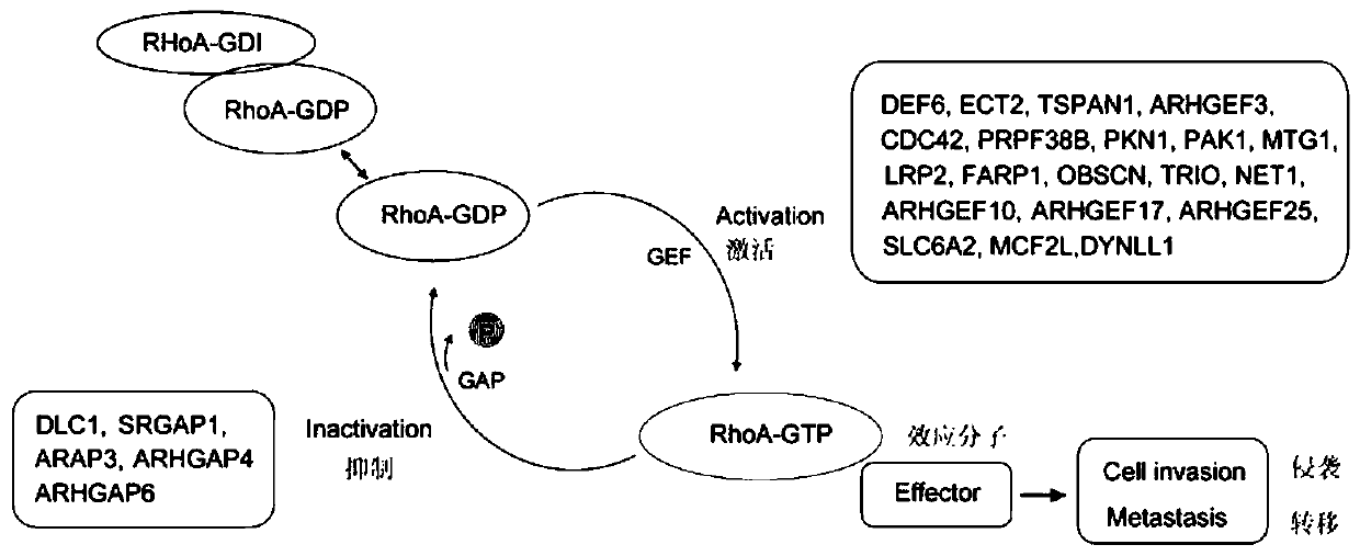 Determining method for evaluation gene groups for gastric cancer prognosis prediction