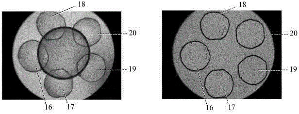 Microfluidic droplet chip device and method for cell migration analysis experiments