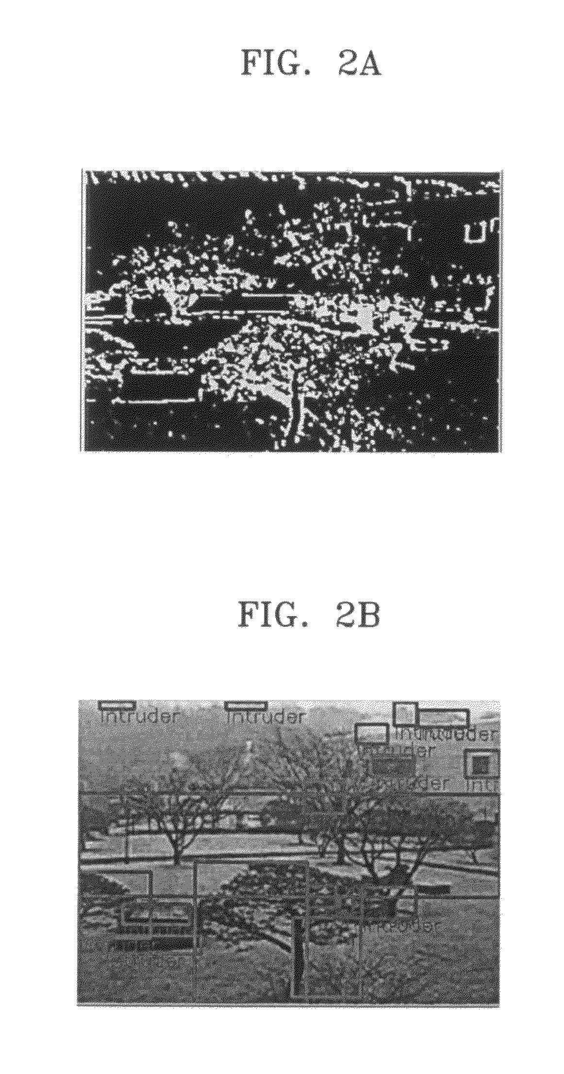 Method, medium, and apparatus with estimation of background change