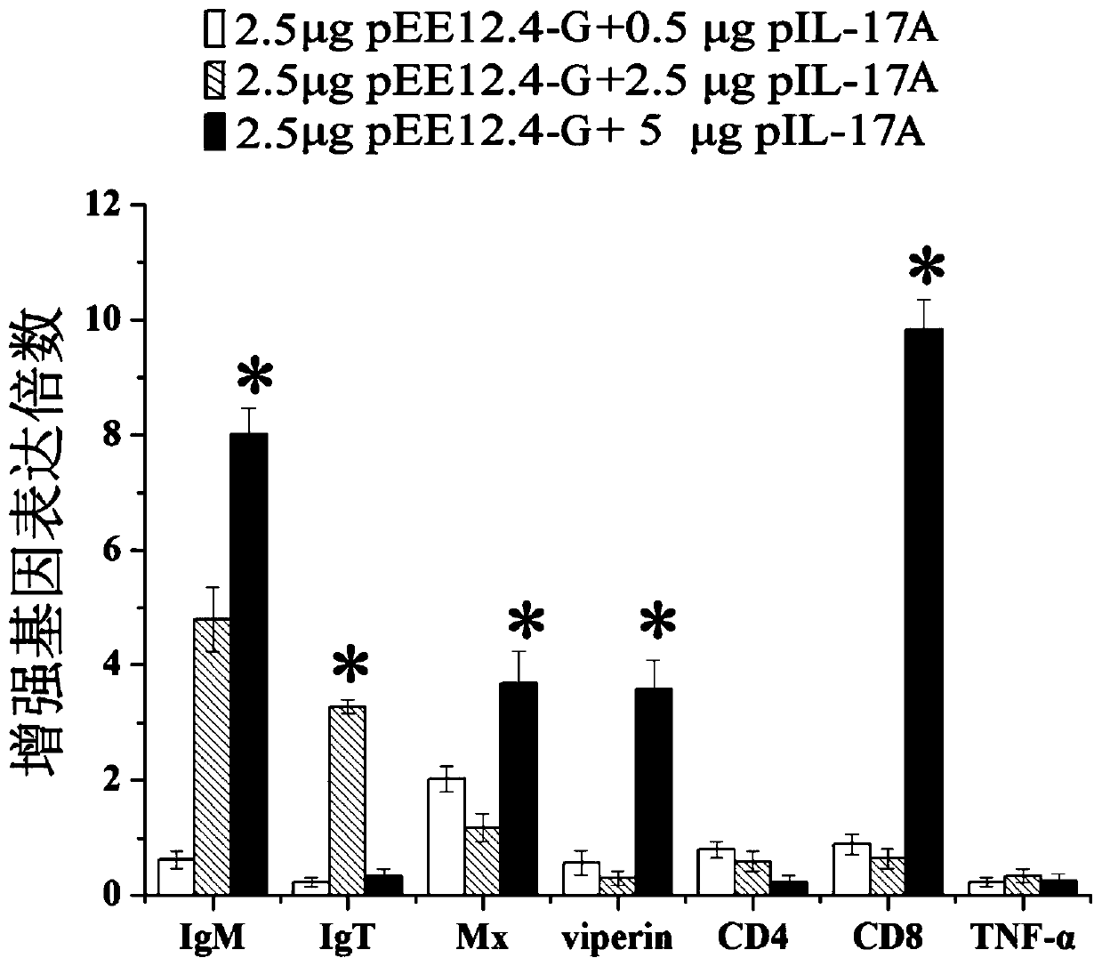 Application of il-17a protein in preparation of animal vaccine adjuvant