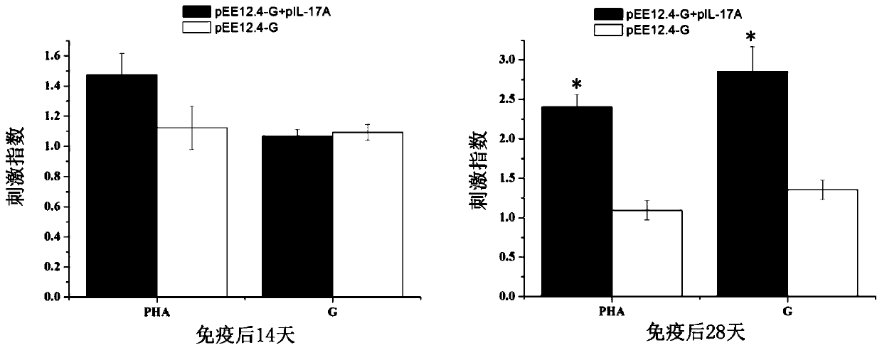 Application of il-17a protein in preparation of animal vaccine adjuvant
