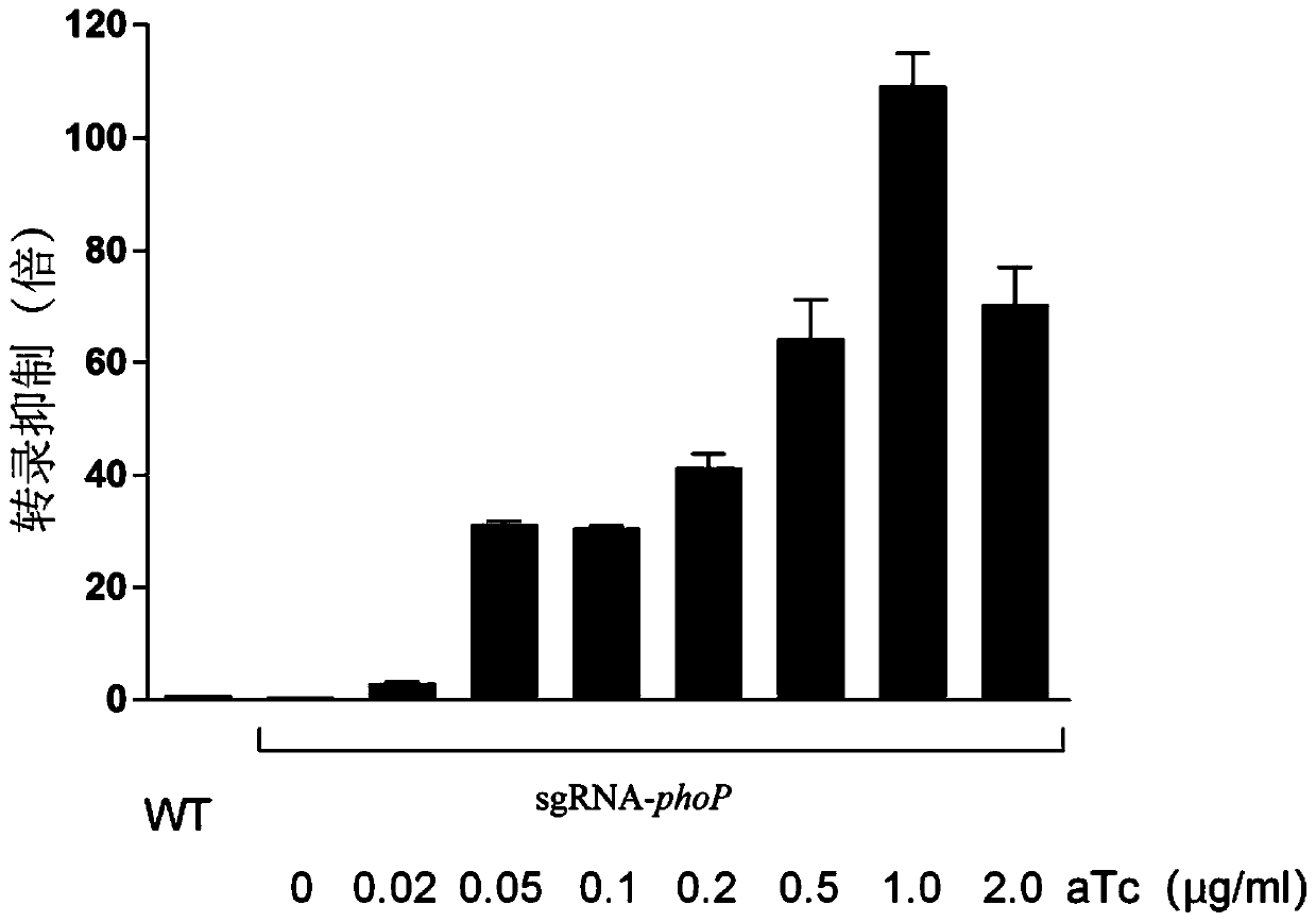 Plasmid for CRISPRi system, construction method of plasmid, and application of plasmid to directional silencing of yersinia pestis target gene