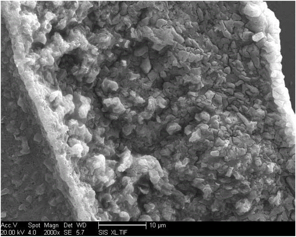 Nanoscale lactoferrin chitosan particle preparation method