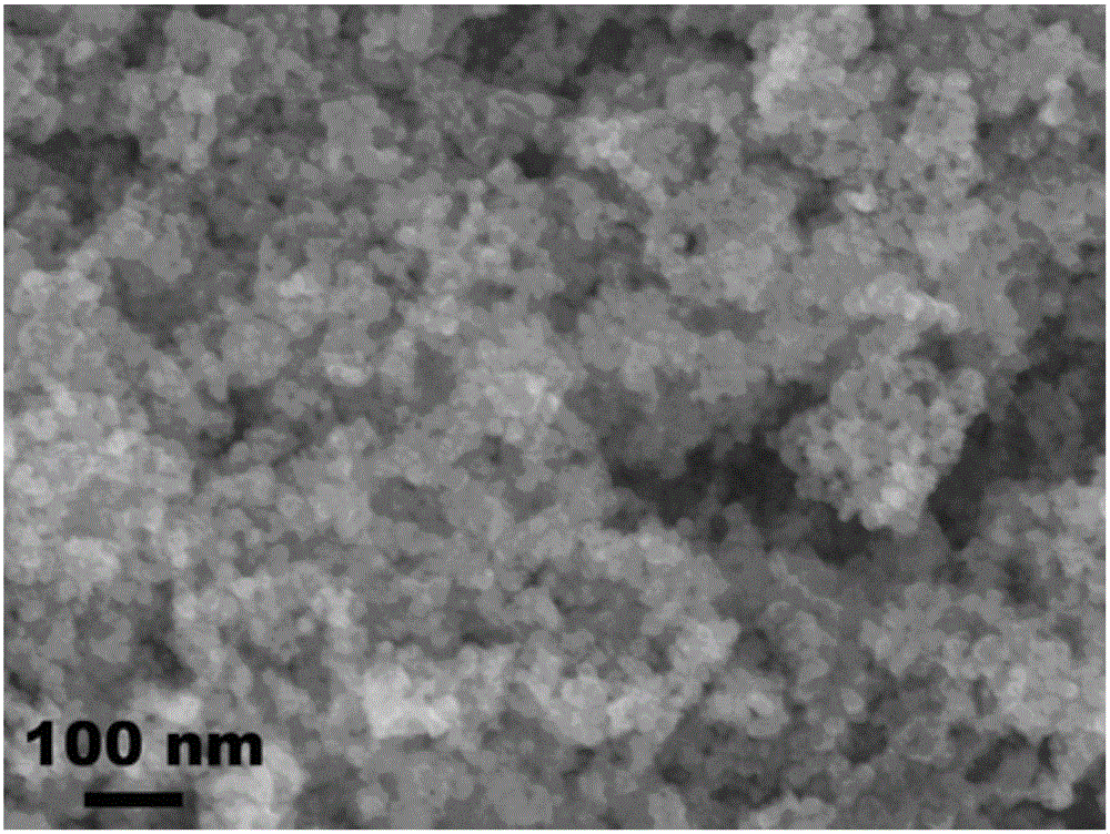 Preparation method and application of carbon-coated Fe3O4 nanoparticle lithium ion battery negative electrode material