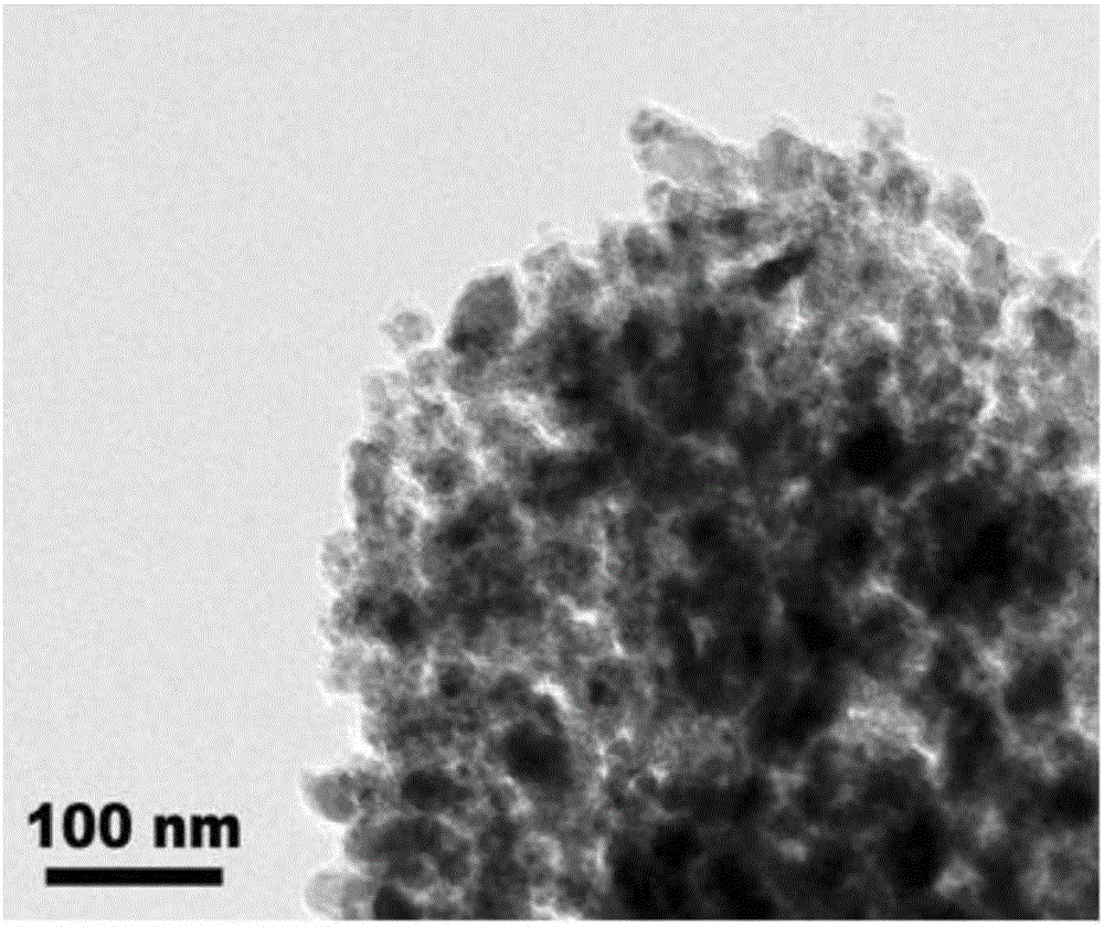 Preparation method and application of carbon-coated Fe3O4 nanoparticle lithium ion battery negative electrode material